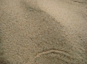 Речной песок в Колтушах